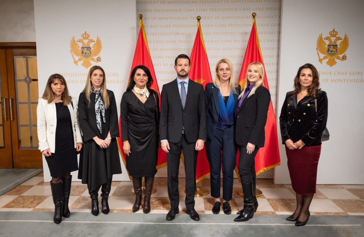 Ana Jaredić ispred CŽP na sastanku sa predsjednikom države Jakovom Milatovićem i drugim predstavnicima/cama civilnog sektora