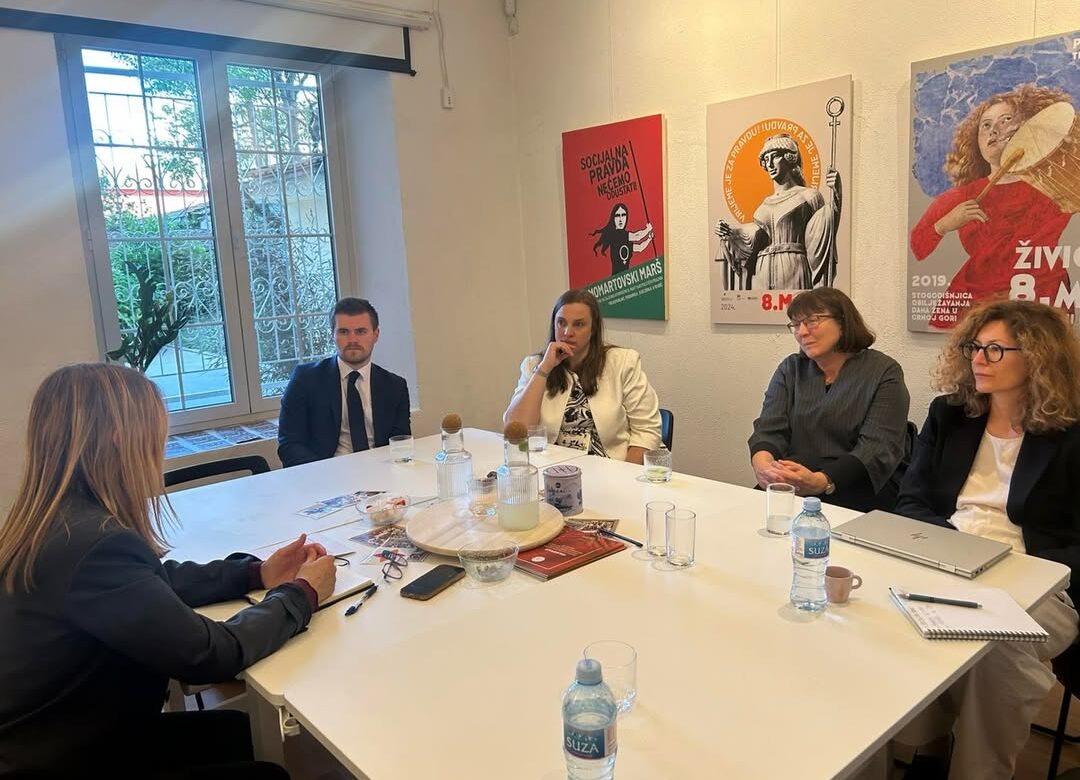 CŽP i delegacija UK: potrebne dalje reforme sistema zaštite od nasilja